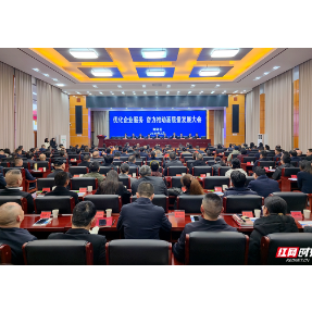 当好民营经济“店小二” 雨湖区今年这样“宠企”