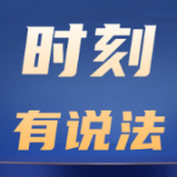 时刻有说法 | 129年古树被盗挖，法院算了一笔“生态账”