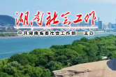 深耕志愿沃土 绽放雷锋之光——湖南省志愿服务联合会第二届理事会工作综述