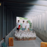 “再就业男团”双11做客淘宝直播间 两场带货为老乡创收50万