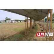 桃江：湖南学子劳动实践教育基地十月中旬投入使用