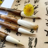 散文丨盛敏:教写字