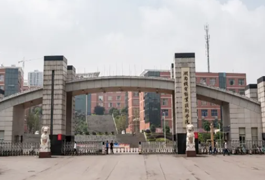 湖南机电职院：快闪“点燃”校园 抒发对党和祖国的热爱
