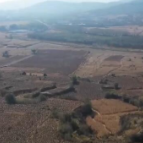 山西长治高粱丰收 当地因地制宜助农增收致富
