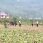 在希望的田野上丨全国秋冬种过半 各地全力提升播种质量