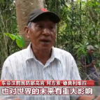 中国新征程 世界新机遇丨国际人士：中国发展将为世界注入正能量