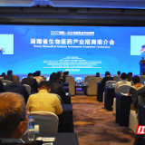 促进“健康快乐的产业”壮大 湖南在上海举行推介会共谋产业未来