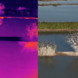 夜观“候鸟天堂” 沉湖湿地别样美丽