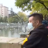 云南 抵达昆明红嘴鸥增多 吸引市民游客