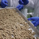 外贸主体活力进一步激发 民营企业合计进出口17.44万亿元