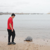 通讯：中国建设者守护加纳海龟