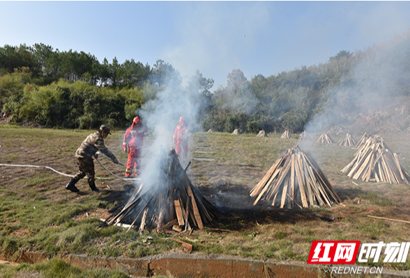 立足现实需求 临武县人武部组织乡镇民兵应急排开展群众性练兵比武