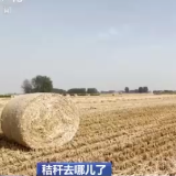 提升离田效能！看秸秆如何“变身”土地养分→