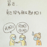 “阳过”图鉴