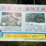 彭州山洪被困父子后续：父亲获救，孩子罹难