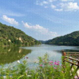 【美丽中国·网络媒体生态行】青绿满山坡 山水共缠绵——这里是绿色陕西