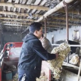 万人说新疆丨热西提·热依木：牛羊养殖共致富 兄弟齐心创未来