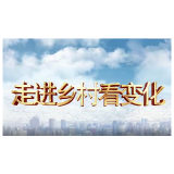 【走进乡村看变化•视频】新疆沙雅县阿克艾日克村：产业兴 百姓富 乡村美
