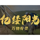 亿缕阳光丨万物有灵