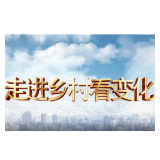 【走进乡村看变化•视频】新疆福海县阔尼克买村：绘就西北边陲“富春山居图”