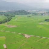 中国这十年丨全国已建成万亩以上大中型灌区7330处 夯实粮食安全水利基础