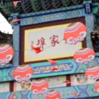 新时代，我在中国|波兰小伙带着潍坊风筝飞向世界
