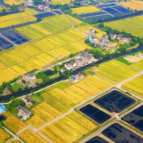 【地评线】守好沃土良田，筑牢粮仓“地”基