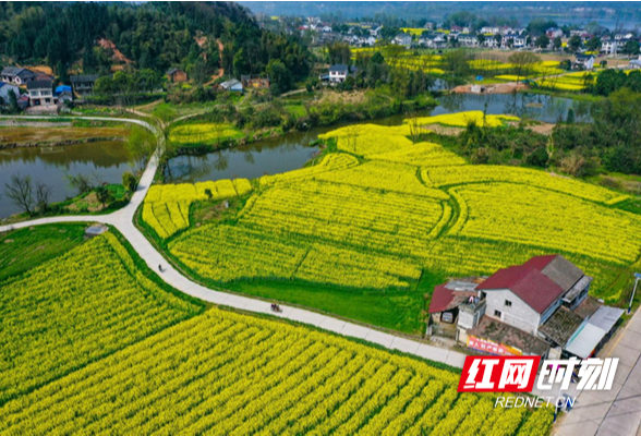 “湘”当自觉自信自强丨桃花源景区：文旅融合描绘高质量发展新画卷