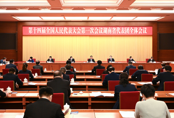 湖南代表团举行第二次全体会议 传达学习十四届全国人大一次会议代表团召集人会议精神