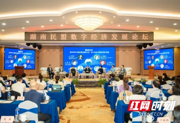 湖南民盟数字经济发展论坛在长沙举办