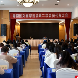 湖南省女画家协会第二次会员代表大会召开 丁虹当选新一届主席