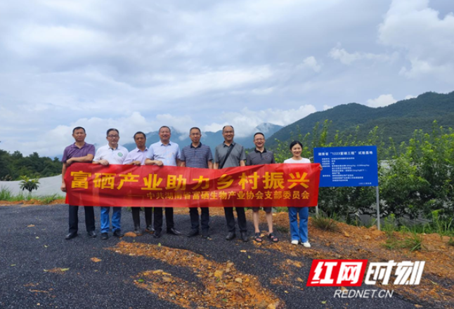 湖南省富硒生物产业协会赴汝城调研富硒奈李产业发展