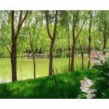 共同富裕看基层丨守护绿水青山，绘就美丽银川发展高质量画卷