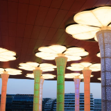 进博五年春满园