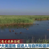 新思想引领新征程丨守护大美湿地 促进人与自然和谐共生