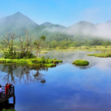 新华全媒+｜在水一方 大美湿地