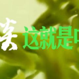 畅谈｜这就是中国茶