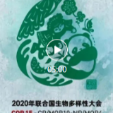视频 | COP15中国宣传片