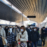 热评丨春运在即 过好团圆年也过好防疫关