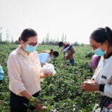 二十大代表风采丨古兰拜尔·茹仙:带领搬迁群众过上好日子