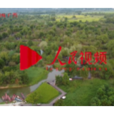 美丽中国·网络媒体生态行丨探访桂林漓江之肾