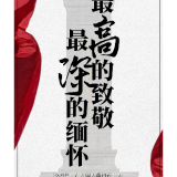 今天，最高的致敬，最深的缅怀！