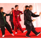 全球连线 | 读《三字经》唱《大中国》……巴西里约庆首个“中文日”