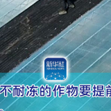 寒潮来袭，这份防护指南请收好！