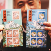 中国兔火遍世界各地（侨界关注）