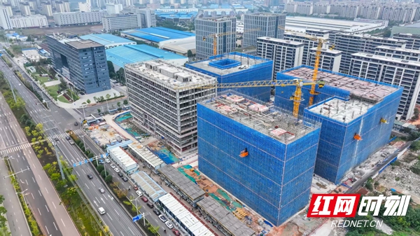 微信图片_20260730114144_156_46.jpg 微信图片_20260730114144_156_46.jpg