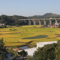 市域社会治理丨长启村凝心聚力绘出“五美村庄”幸福图景