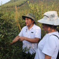 油茶科技服务 | 郴州市油茶技术服务队来了