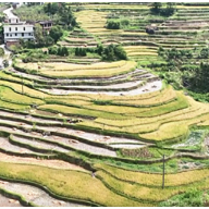 宜章县玉溪镇黄岑村：“源头活水”润民心