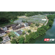 深化同心创建  助力乡村振兴